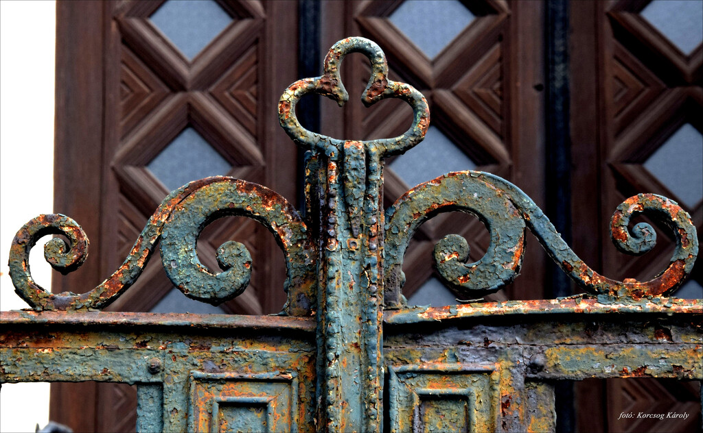 Detail of a gate by kork