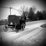 8th Apr 2024 - Amish Buggy