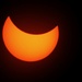 Solar Eclipse in NC by homeschoolmom
