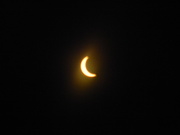 8th Apr 2024 - Eclipse 