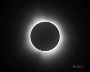 8th Apr 2024 - LHG_9177 Totality from Arkansas