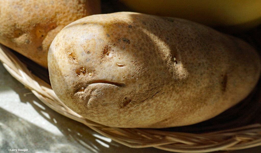 Face on potato by larrysphotos