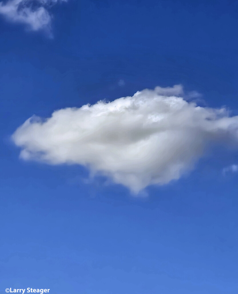 Maybe a UFO hiding in a cloud. by larrysphotos