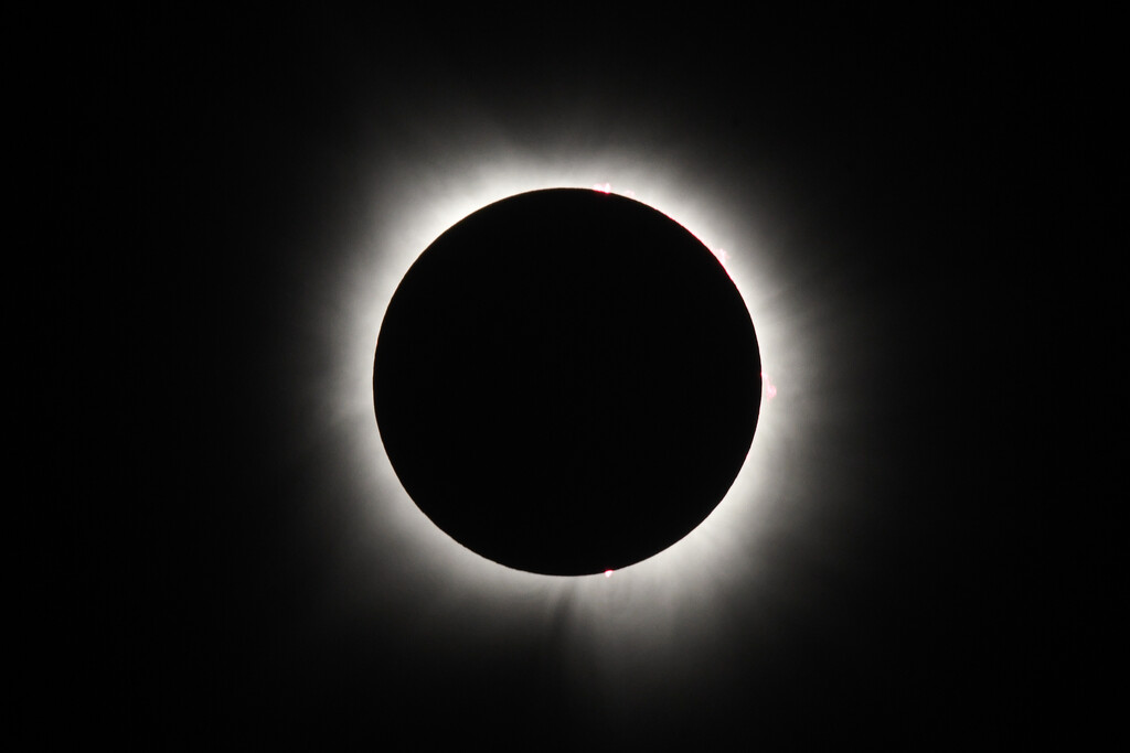 2024 Eclipse by kareenking