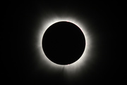 8th Apr 2024 - 2024 Eclipse
