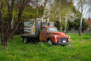 8th Apr 2024 - 1949 GMC Truck
