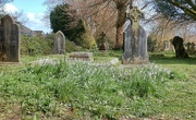 5th Apr 2024 - Watering Hill Lane graveyard.