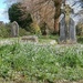 Watering Hill Lane graveyard. by cutekitty
