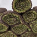 Grass Swiss rolls by lizgooster