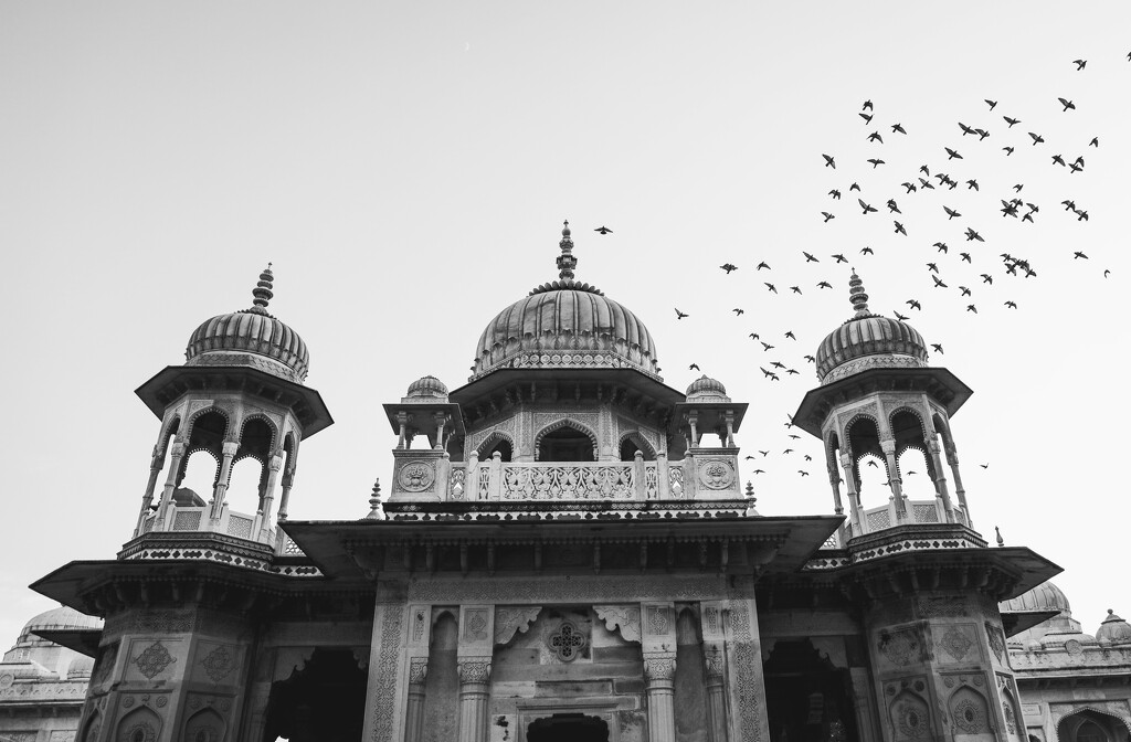 Jaipur by abhijit