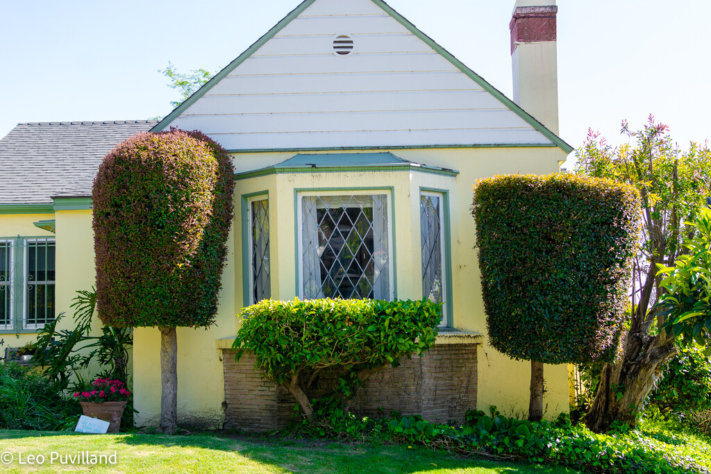 House with Plants by leopuv