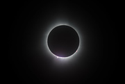 8th Apr 2024 - Totality #1
