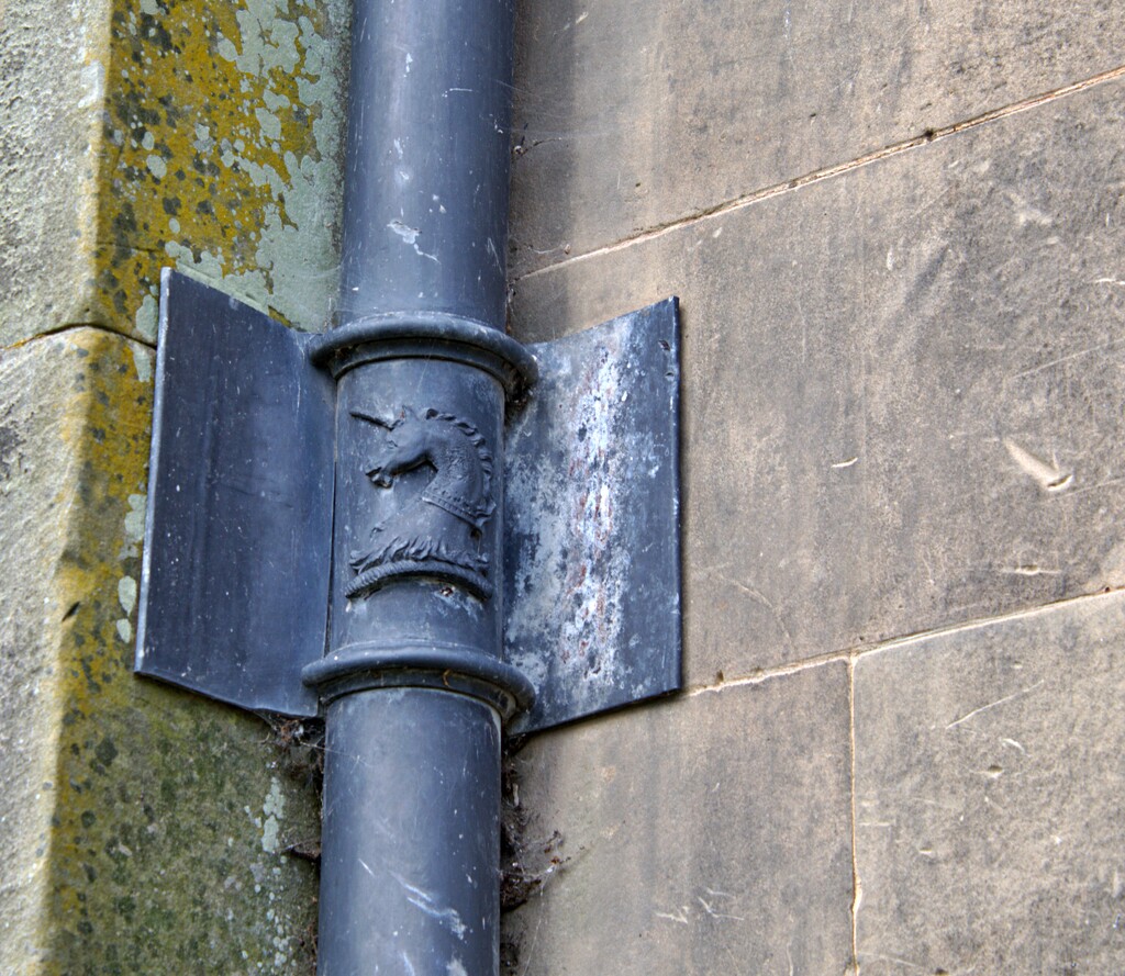 one of the many unicorns -this one on a downpipe by ollyfran