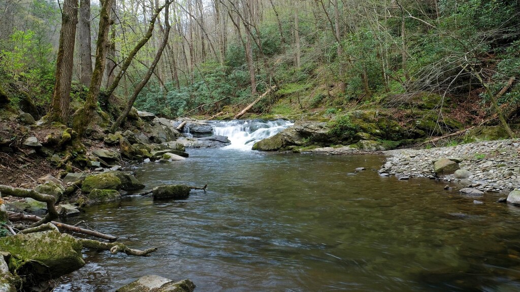 Little River, Great Smoky Mountains National Park by lsquared