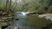 12th Apr 2024 - Little River, Great Smoky Mountains National Park