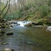 Little River, Great Smoky Mountains National Park