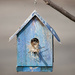 Birdhouse by bobbic