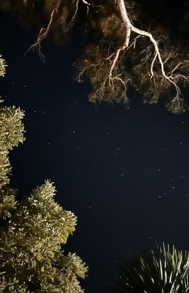 Starry, starry night by joluisebeth