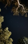 11th Apr 2024 - Starry, starry night