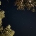 Starry, starry night by joluisebeth