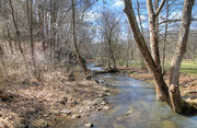 11th Apr 2024 - Along the creek