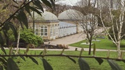 10th Apr 2024 - 101/366 - Sheffield Botanical Gardens 