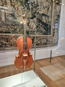 11th Apr 2024 - Stradivarius