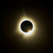 11th Apr 2024 - Totality #3