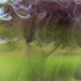 Crabapple Tree ICM by kvphoto