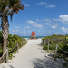 Miami Beach Life Guard Hut by pdulis