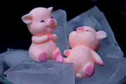11th Apr 2024 - like pigs on ice