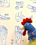 12th Apr 2024 - Felipè tagged along to the foot doctor with Jerry