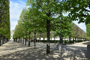 9th Apr 2024 - Tuileries garden