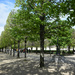 Tuileries garden by parisouailleurs