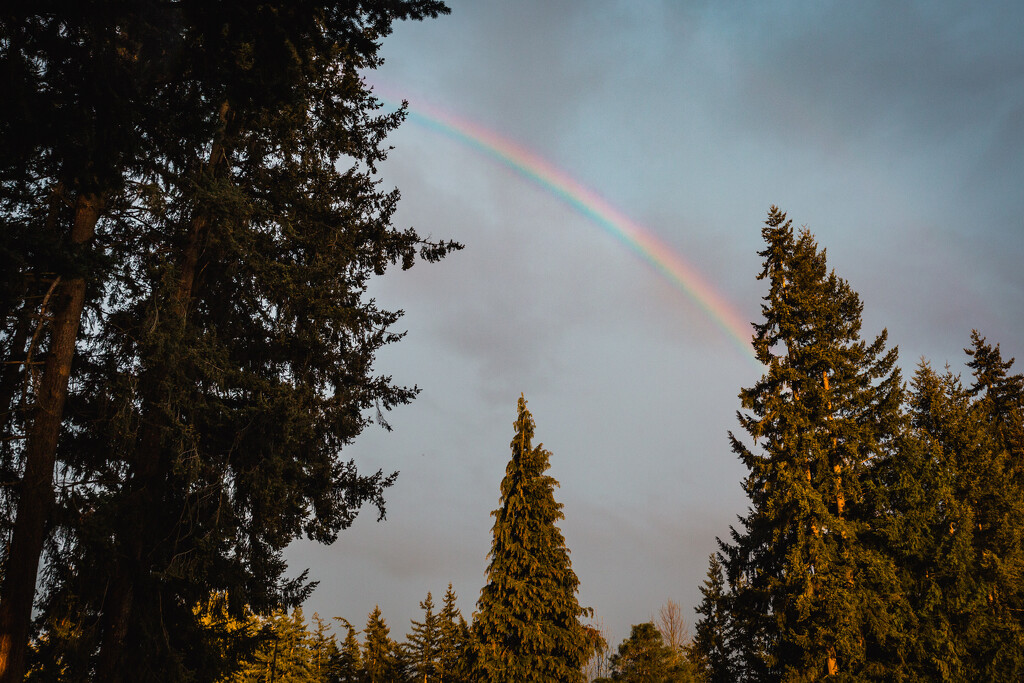 Rainbow at Sunset by tina_mac