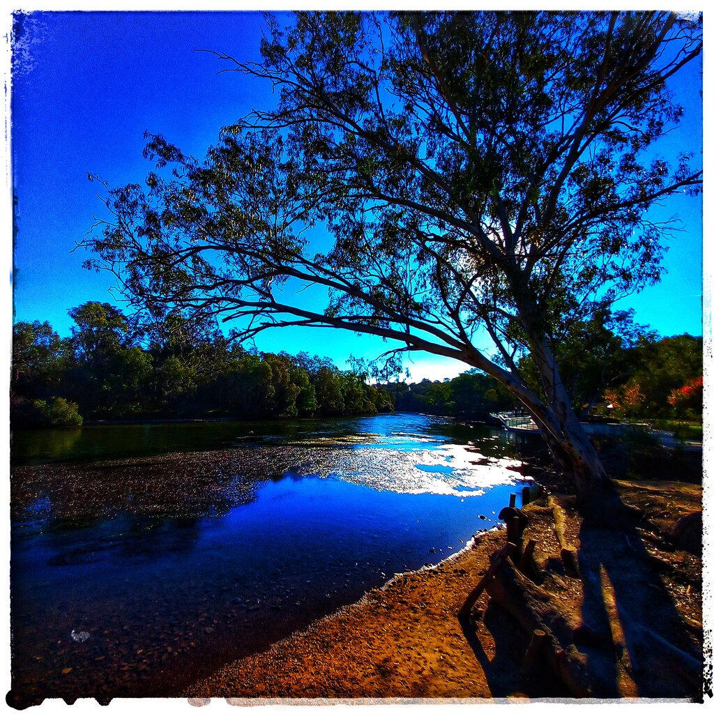 Late afternoon on the Murray. by aq21