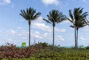 12th Apr 2024 - Miami Palms