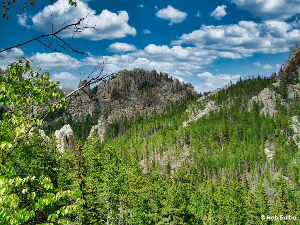 Black Hills National Forest by robfalbo