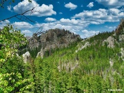 12th Apr 2024 - Black Hills National Forest