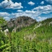 Black Hills National Forest by robfalbo