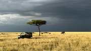 25th Sep 2023 - Plains of Oboisho, Kenya