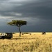 Plains of Oboisho, Kenya by cadu