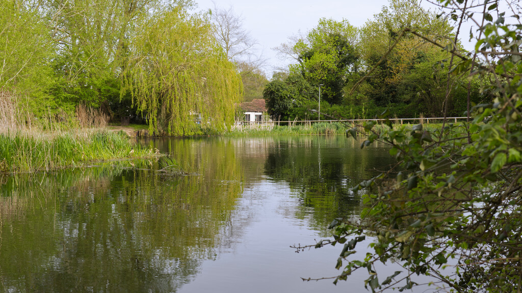 Willian village pond....... by neil_ge