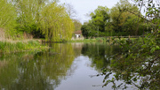 12th Apr 2024 - Willian village pond.......