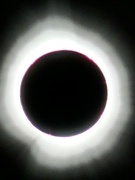 8th Apr 2024 - Total Solar Eclipse