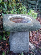 22nd Jan 2011 - Frozen Bird Bath