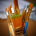 paint brushes by cam365pix