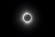9th Apr 2024 - Totality #3