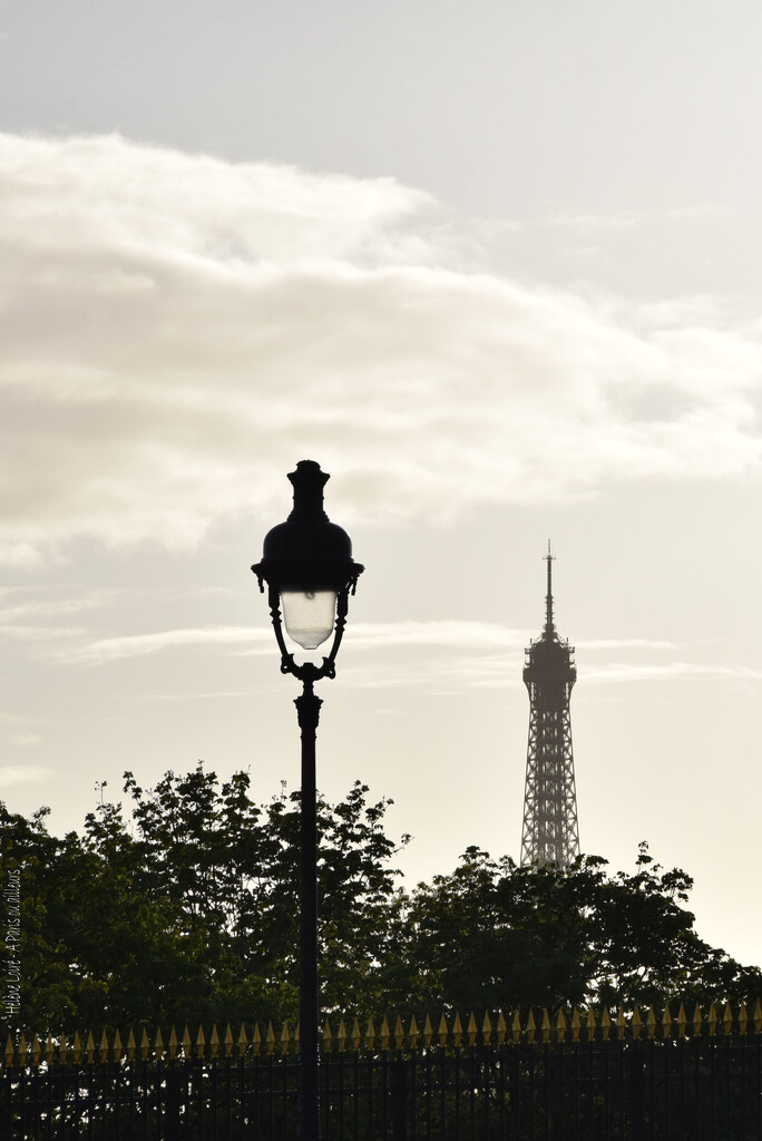 one day in Paris by parisouailleurs