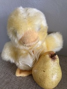 13th Apr 2024 - Y Is for Yellow Chick and Yellow Pear 